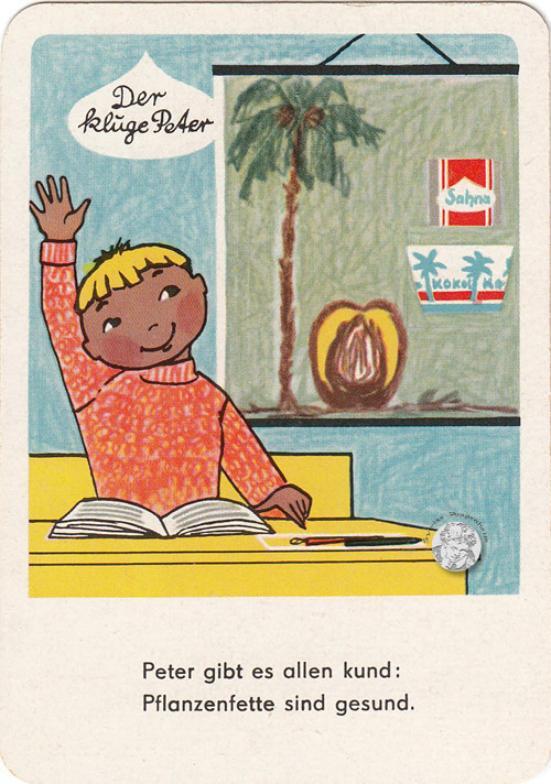 Ölfrüchte und deine Gesundheit