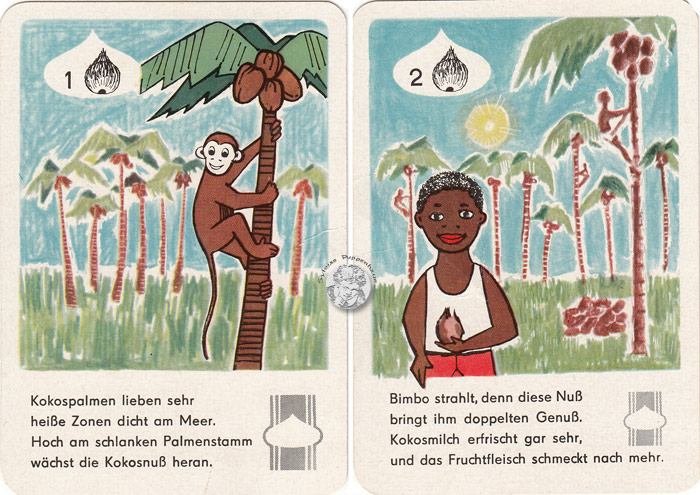 Ölfrüchte und deine Gesundheit