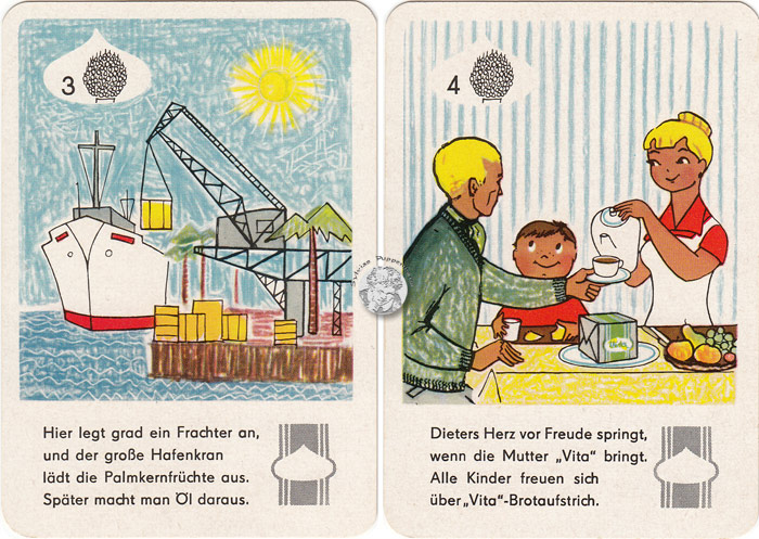 Ölfrüchte und deine Gesundheit