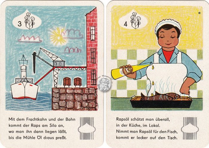 Ölfrüchte und deine Gesundheit