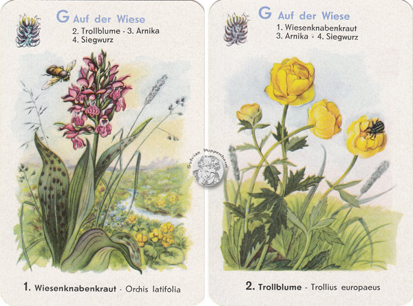 Geschützte Pflanzen - Naturschutz-Quartett I, DDR