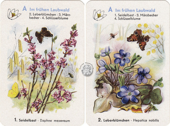 Geschützte Pflanzen - Naturschutz-Quartett I, DDR