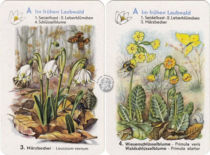 Geschützte Pflanzen - Naturschutz-Quartett I, DDR