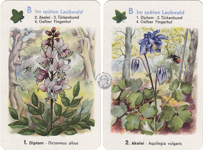 Geschützte Pflanzen - Naturschutz-Quartett I, DDR