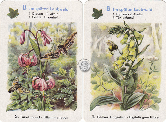 Geschützte Pflanzen - Naturschutz-Quartett I, DDR