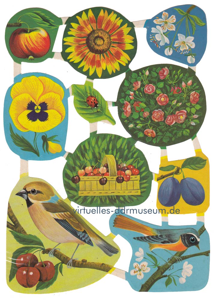 Stammbuchbilder