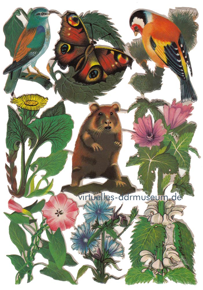 Stammbuchbilder