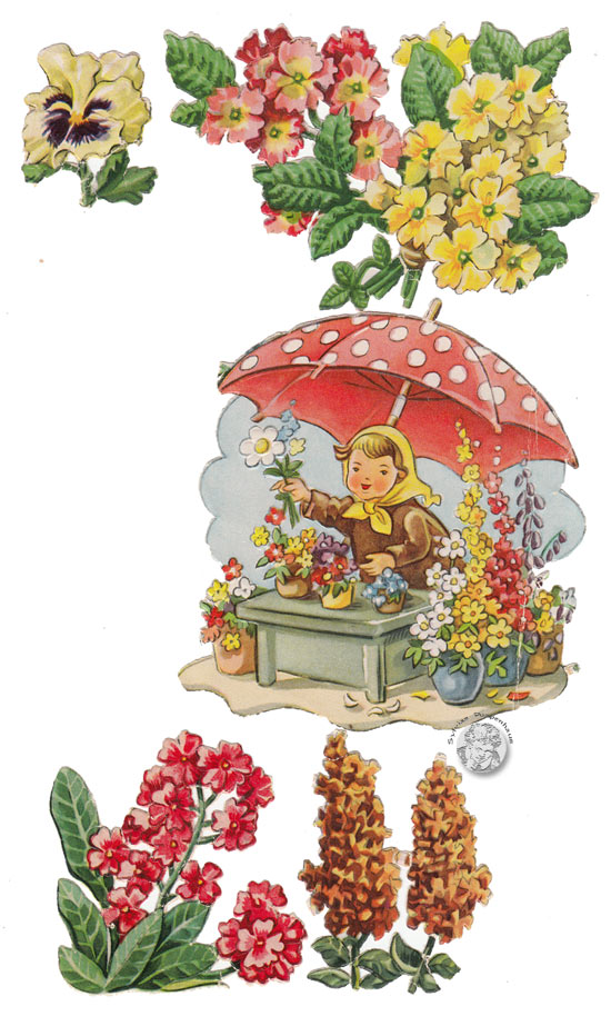 DDR Stammbuchbilder